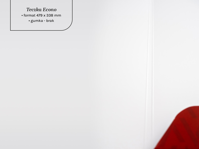 Teczka Econo z gumką