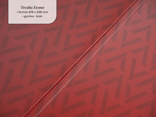 Teczka Econo bez gumki