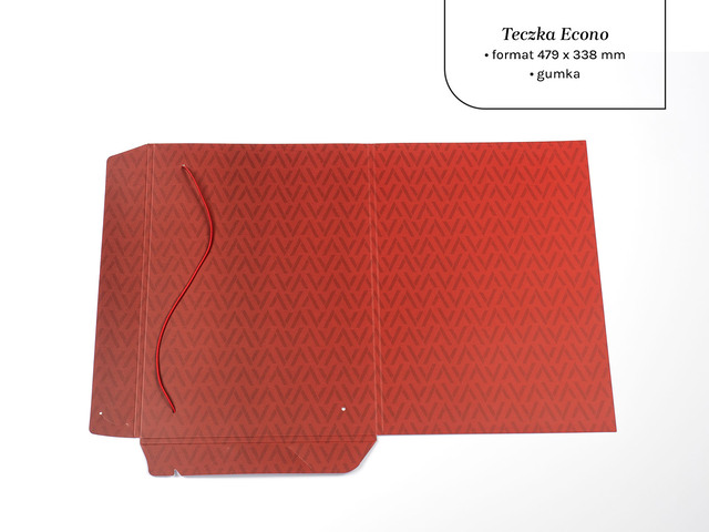 Teczka A4 Econo z folią mat