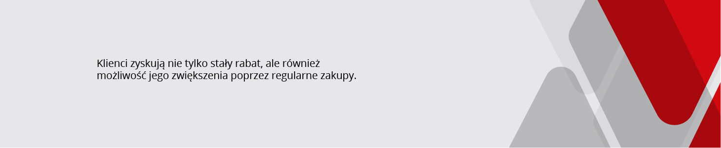program partnerski