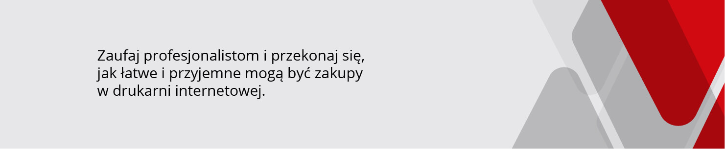 program partnerski