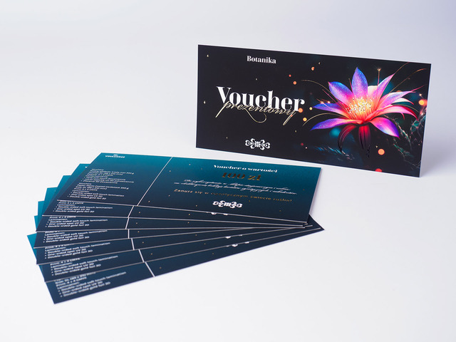 Vouchery Deluxe 3D DL