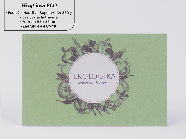 Wysokiej jakości ekologiczne wizytówki eco